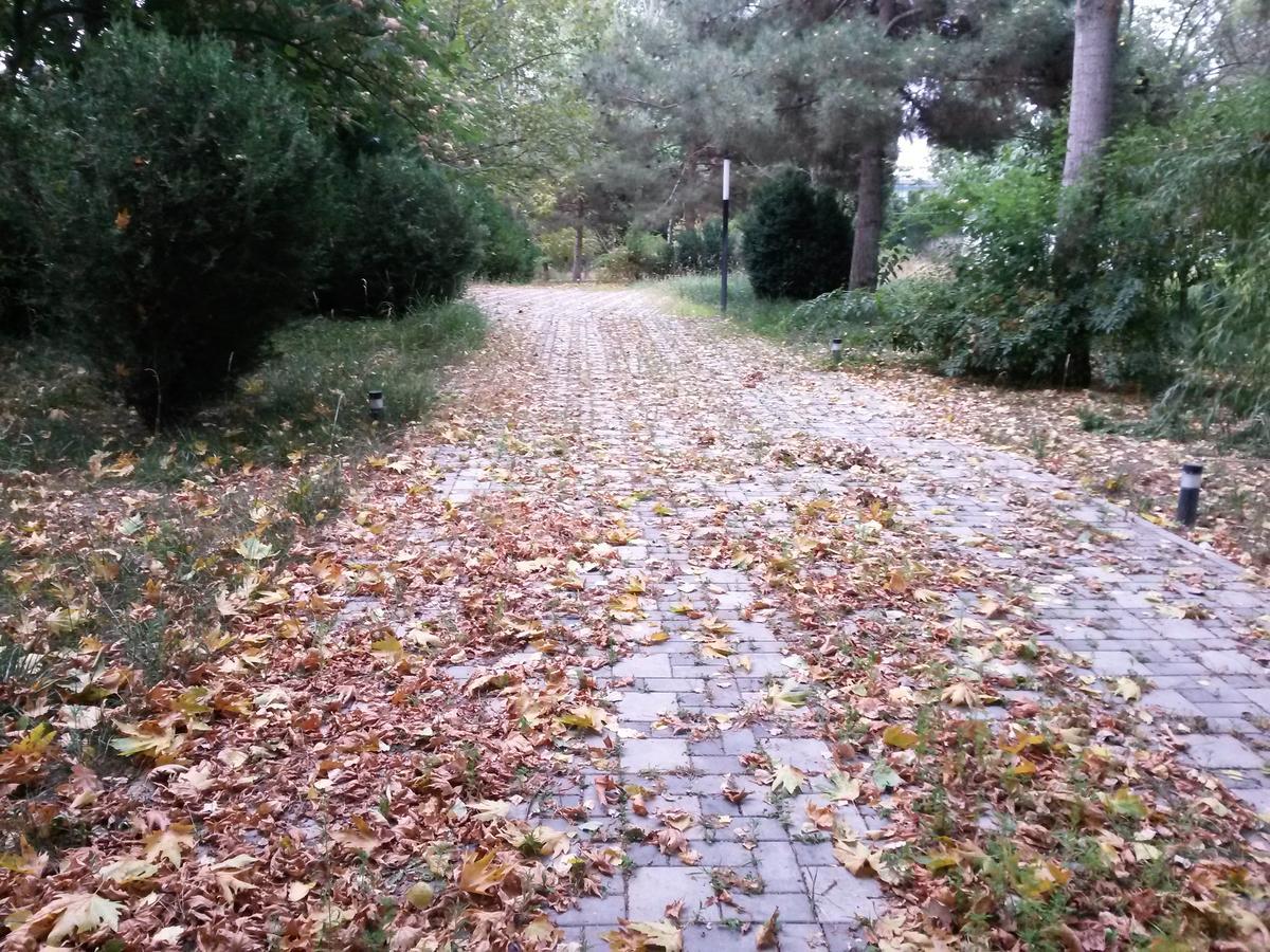 Sheki Olimpiya Hotel & Resort Eksteriør bilde