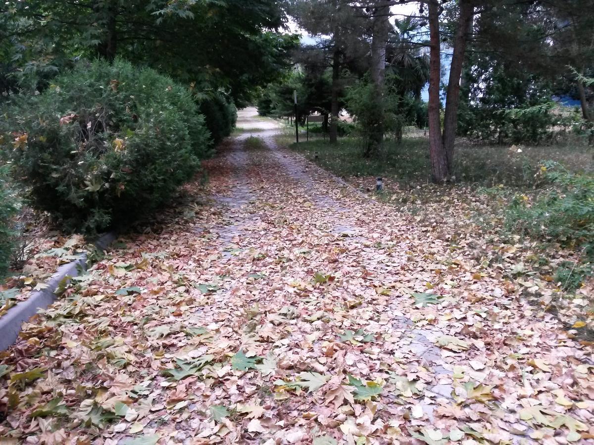Sheki Olimpiya Hotel & Resort Eksteriør bilde