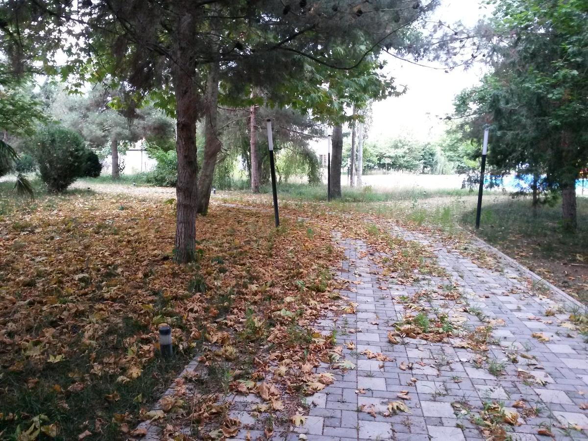 Sheki Olimpiya Hotel & Resort Eksteriør bilde