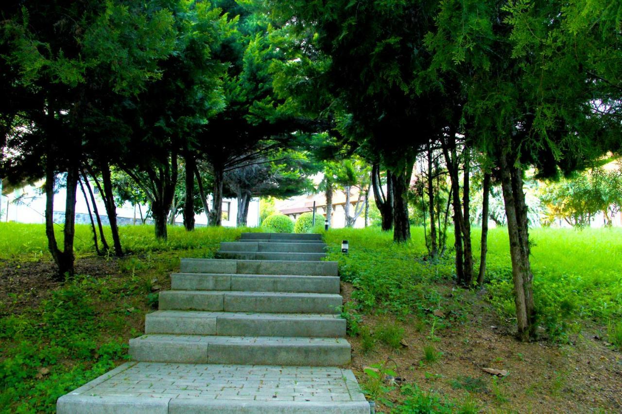 Sheki Olimpiya Hotel & Resort Eksteriør bilde